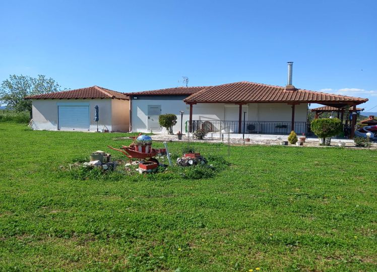 ΜΟΝΟΚΑΤΟΙΚΙΑ|ΜΕΛΙΣΣΟΥΡΓΟΣ|220.000€ 
